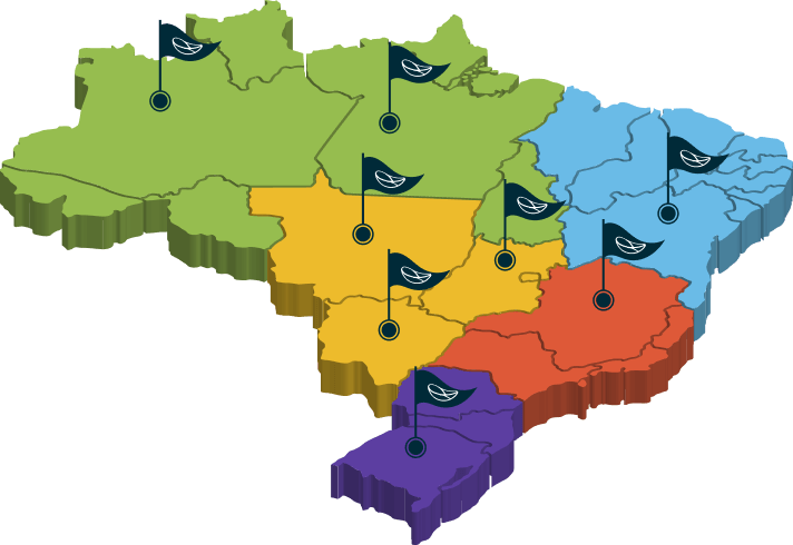 Mapa do brasil